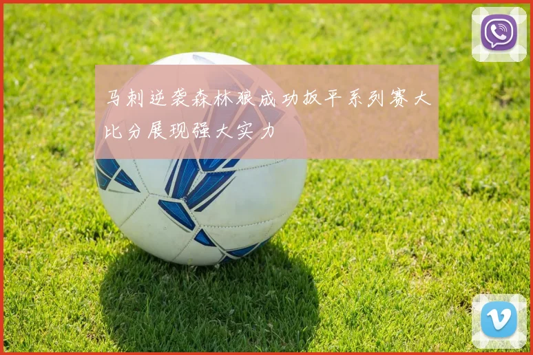 马刺逆袭森林狼成功扳平系列赛大比分展现强大实力
